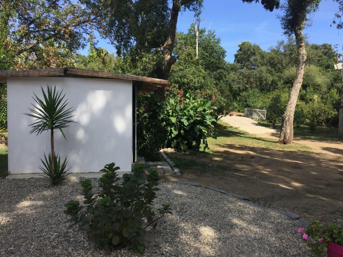Residence Emilia Santa-Maria-Poggio  Exterior foto
