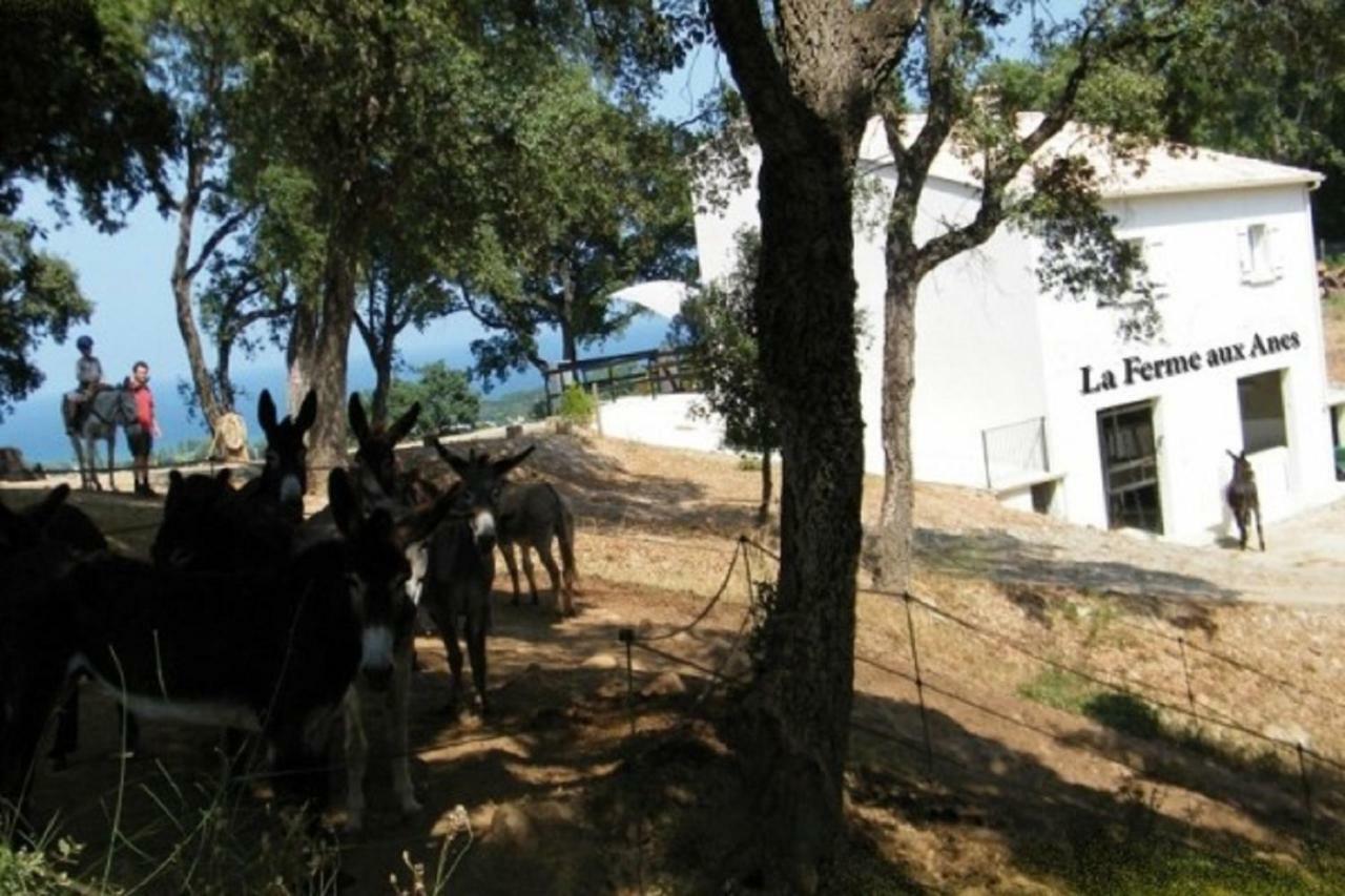 Residence Emilia Santa-Maria-Poggio  Exterior foto